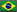 Português (BR)